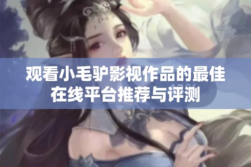 观看小毛驴影视作品的最佳在线平台推荐与评测