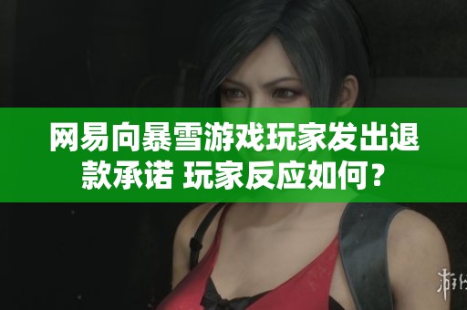 网易向暴雪游戏玩家发出退款承诺 玩家反应如何？