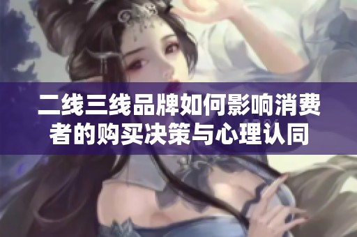 二线三线品牌如何影响消费者的购买决策与心理认同