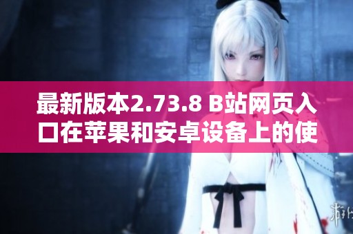 最新版本2.73.8 B站网页入口在苹果和安卓设备上的使用指南