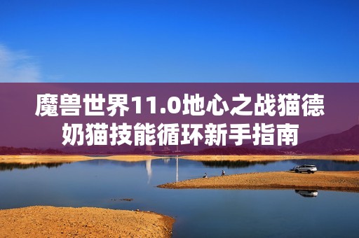 魔兽世界11.0地心之战猫德奶猫技能循环新手指南