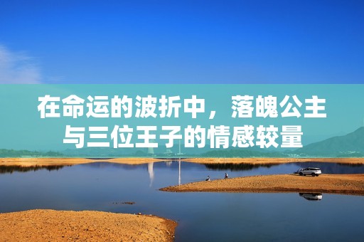 在命运的波折中，落魄公主与三位王子的情感较量