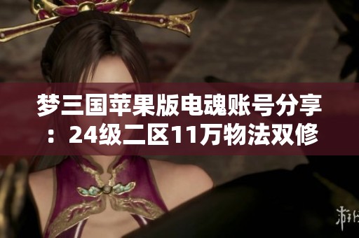 梦三国苹果版电魂账号分享：24级二区11万物法双修V8攻略