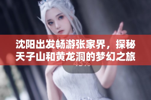 沈阳出发畅游张家界，探秘天子山和黄龙洞的梦幻之旅