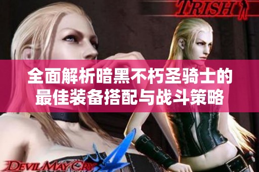 全面解析暗黑不朽圣骑士的最佳装备搭配与战斗策略