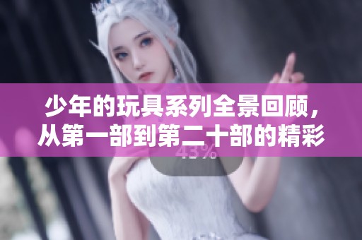 少年的玩具系列全景回顾，从第一部到第二十部的精彩历程