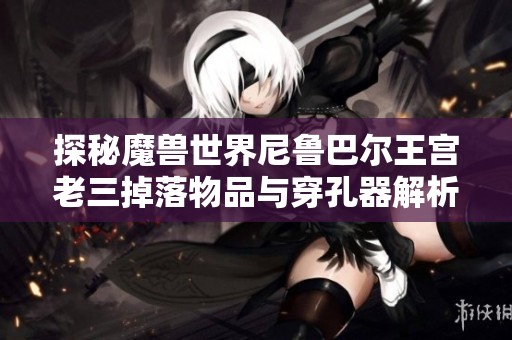 探秘魔兽世界尼鲁巴尔王宫老三掉落物品与穿孔器解析