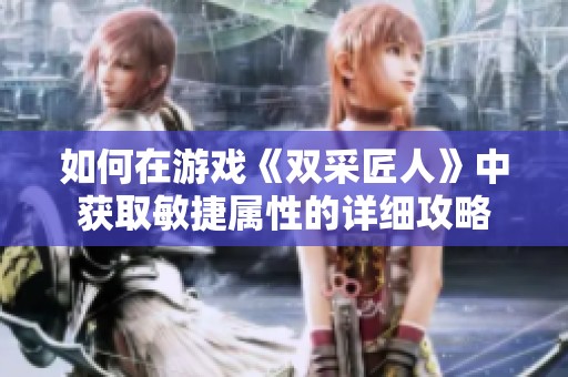 如何在游戏《双采匠人》中获取敏捷属性的详细攻略