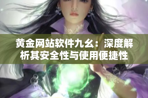 黄金网站软件九幺：深度解析其安全性与使用便捷性