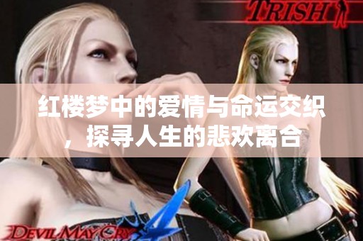 红楼梦中的爱情与命运交织，探寻人生的悲欢离合