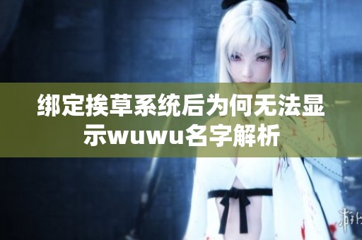 绑定挨草系统后为何无法显示wuwu名字解析