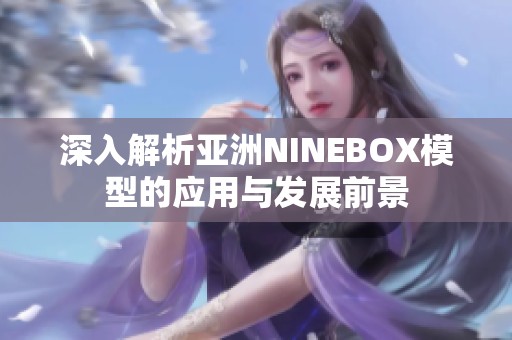 深入解析亚洲NINEBOX模型的应用与发展前景