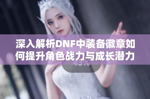深入解析DNF中装备徽章如何提升角色战力与成长潜力