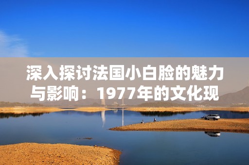深入探讨法国小白脸的魅力与影响：1977年的文化现象