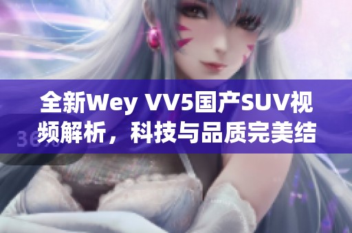 全新Wey VV5国产SUV视频解析，科技与品质完美结合