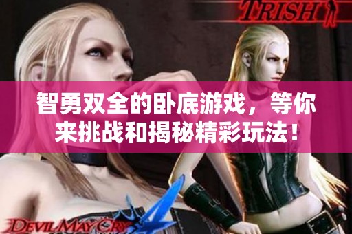 智勇双全的卧底游戏，等你来挑战和揭秘精彩玩法！