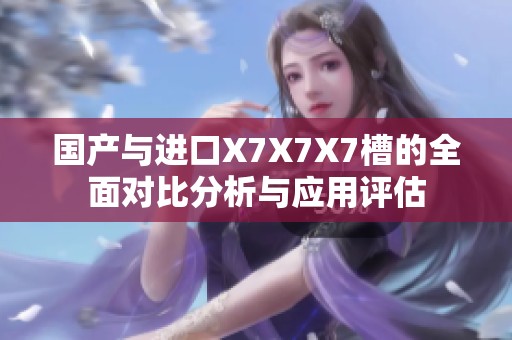 国产与进口X7X7X7槽的全面对比分析与应用评估