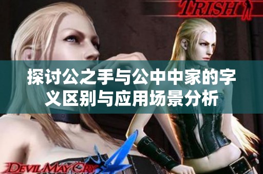 探讨公之手与公中中家的字义区别与应用场景分析
