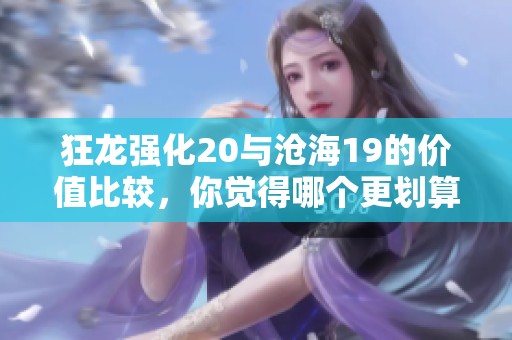 狂龙强化20与沧海19的价值比较，你觉得哪个更划算