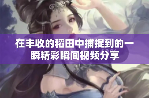 在丰收的稻田中捕捉到的一瞬精彩瞬间视频分享