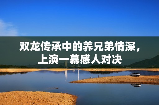 双龙传承中的养兄弟情深，上演一幕感人对决