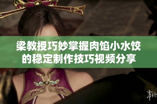 梁教授巧妙掌握肉馅小水饺的稳定制作技巧视频分享