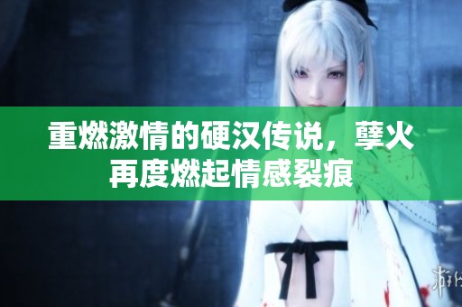 重燃激情的硬汉传说，孽火再度燃起情感裂痕