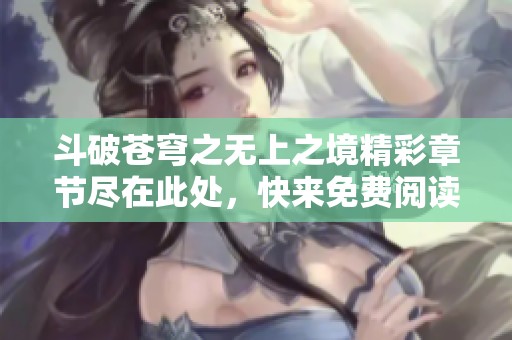 斗破苍穹之无上之境精彩章节尽在此处，快来免费阅读吧