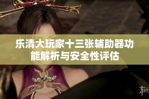 乐清大玩家十三张辅助器功能解析与安全性评估