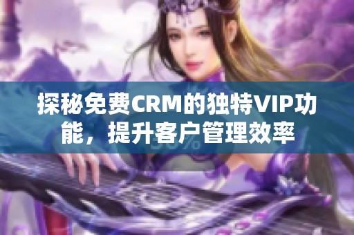 探秘免费CRM的独特VIP功能，提升客户管理效率