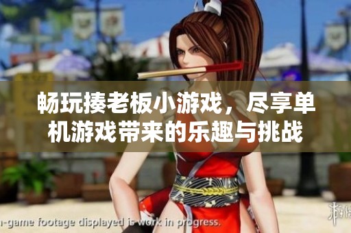 畅玩揍老板小游戏，尽享单机游戏带来的乐趣与挑战