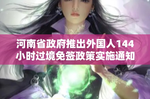 河南省政府推出外国人144小时过境免签政策实施通知