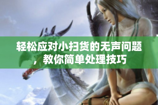 轻松应对小扫货的无声问题，教你简单处理技巧