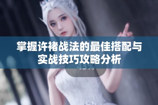 掌握许褚战法的最佳搭配与实战技巧攻略分析