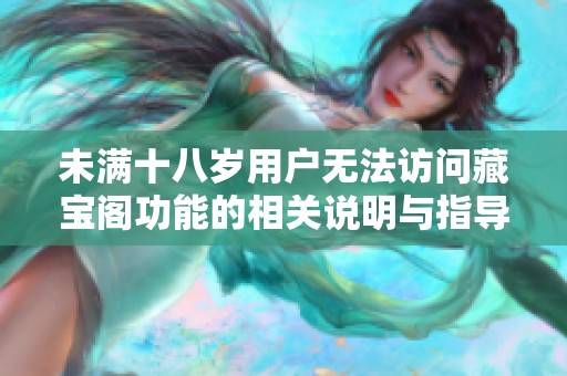 未满十八岁用户无法访问藏宝阁功能的相关说明与指导