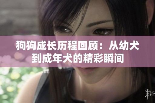 狗狗成长历程回顾：从幼犬到成年犬的精彩瞬间