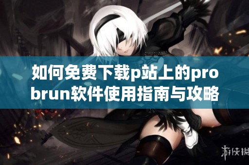 如何免费下载p站上的probrun软件使用指南与攻略