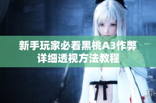 新手玩家必看黑桃A3作弊详细透视方法教程