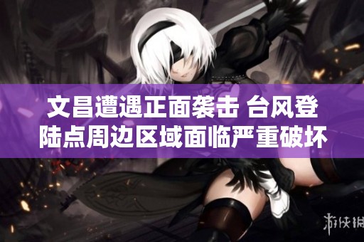 文昌遭遇正面袭击 台风登陆点周边区域面临严重破坏