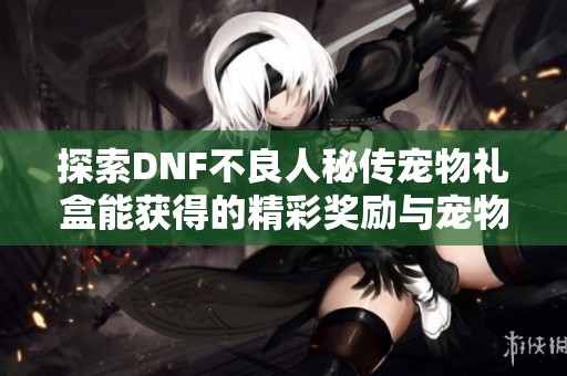 探索DNF不良人秘传宠物礼盒能获得的精彩奖励与宠物介绍