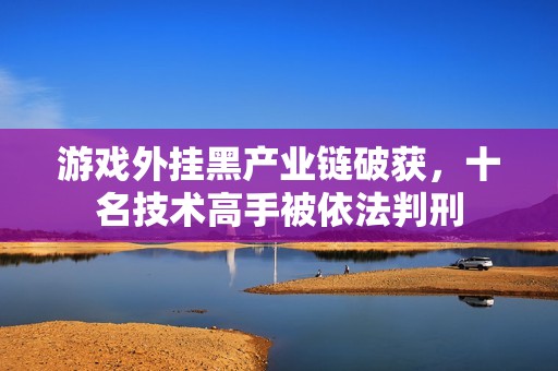 游戏外挂黑产业链破获，十名技术高手被依法判刑