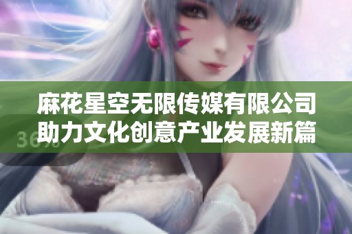 麻花星空无限传媒有限公司助力文化创意产业发展新篇章