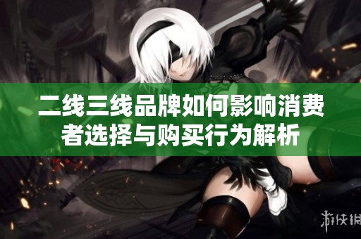 二线三线品牌如何影响消费者选择与购买行为解析