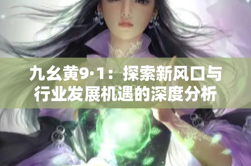 九幺黄9·1：探索新风口与行业发展机遇的深度分析