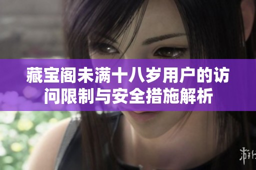 藏宝阁未满十八岁用户的访问限制与安全措施解析