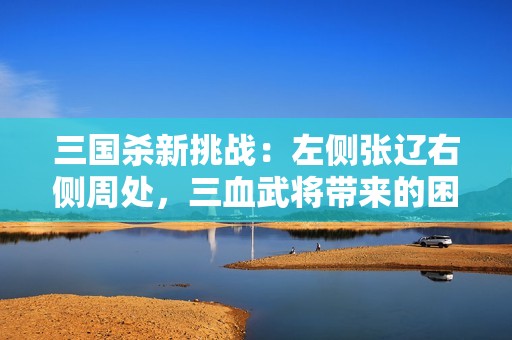 三国杀新挑战：左侧张辽右侧周处，三血武将带来的困境解析