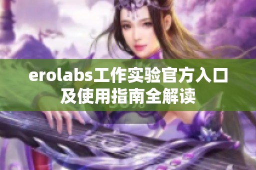 erolabs工作实验官方入口及使用指南全解读