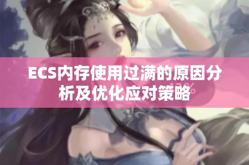 ECS内存使用过满的原因分析及优化应对策略