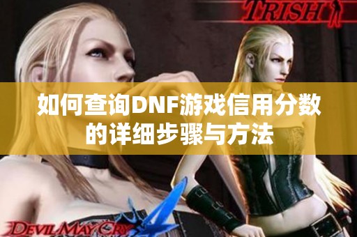 如何查询DNF游戏信用分数的详细步骤与方法