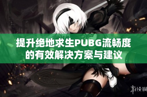提升绝地求生PUBG流畅度的有效解决方案与建议